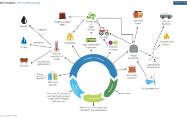 How Circular Economy Changes the Water Industry